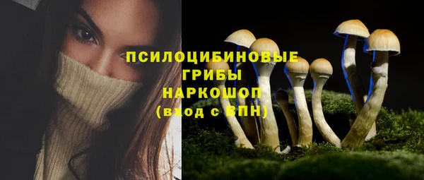 а пвп мука Армянск
